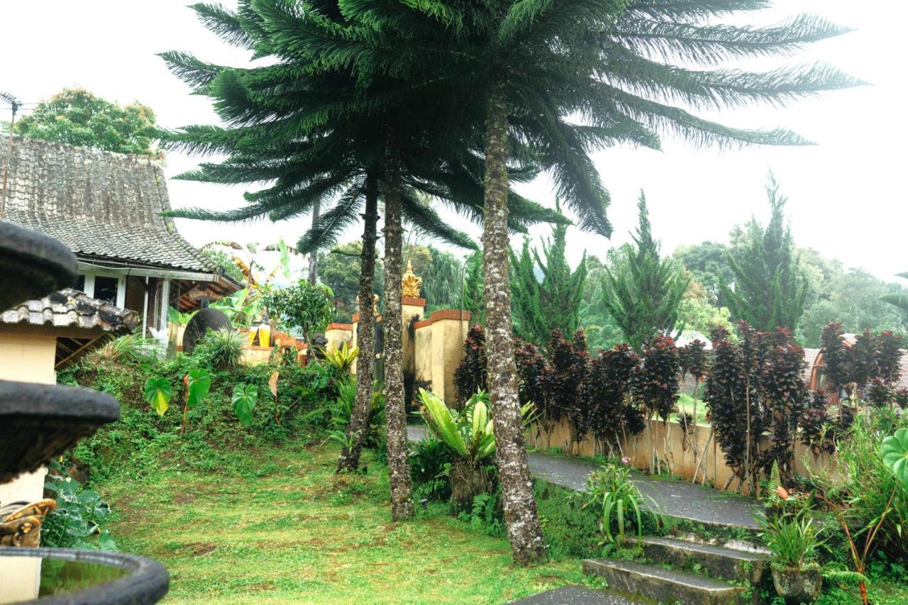 Tunjung Sari Villa Bedugul Bedugul  Exterior foto